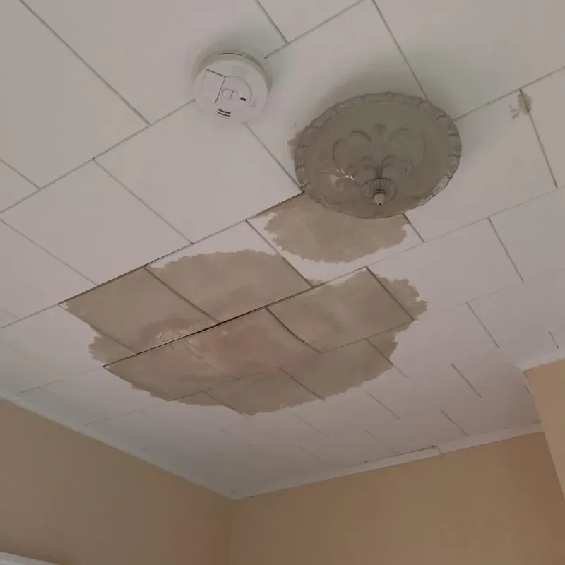 Ceiling Water Damage Repair in Moodus, CT