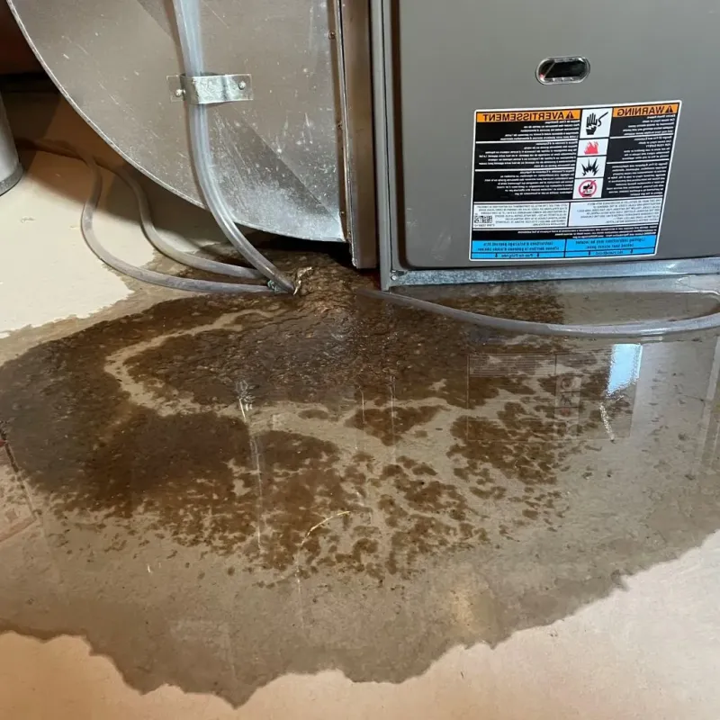 Pipe Burst and Leak Restoration in Moodus, CT