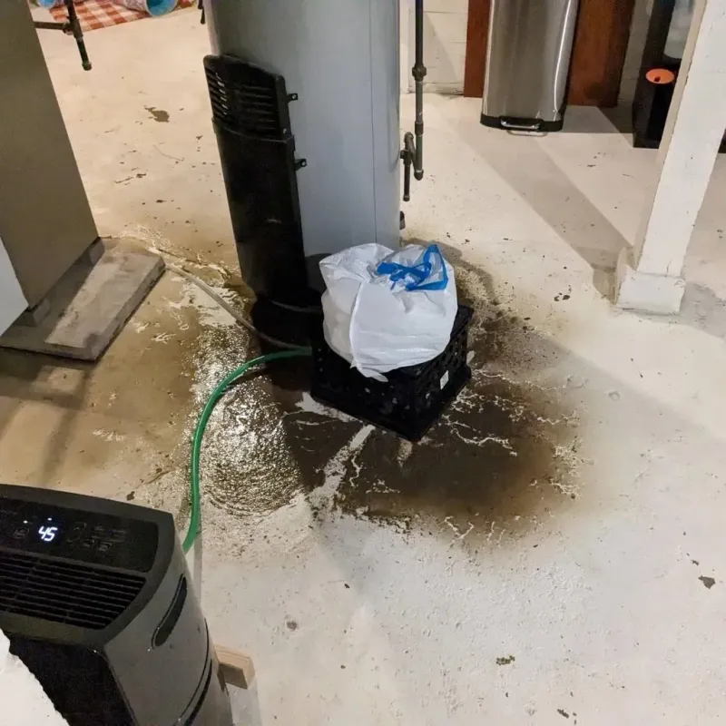 Sewage Backup Cleanup Service in Moodus, CT